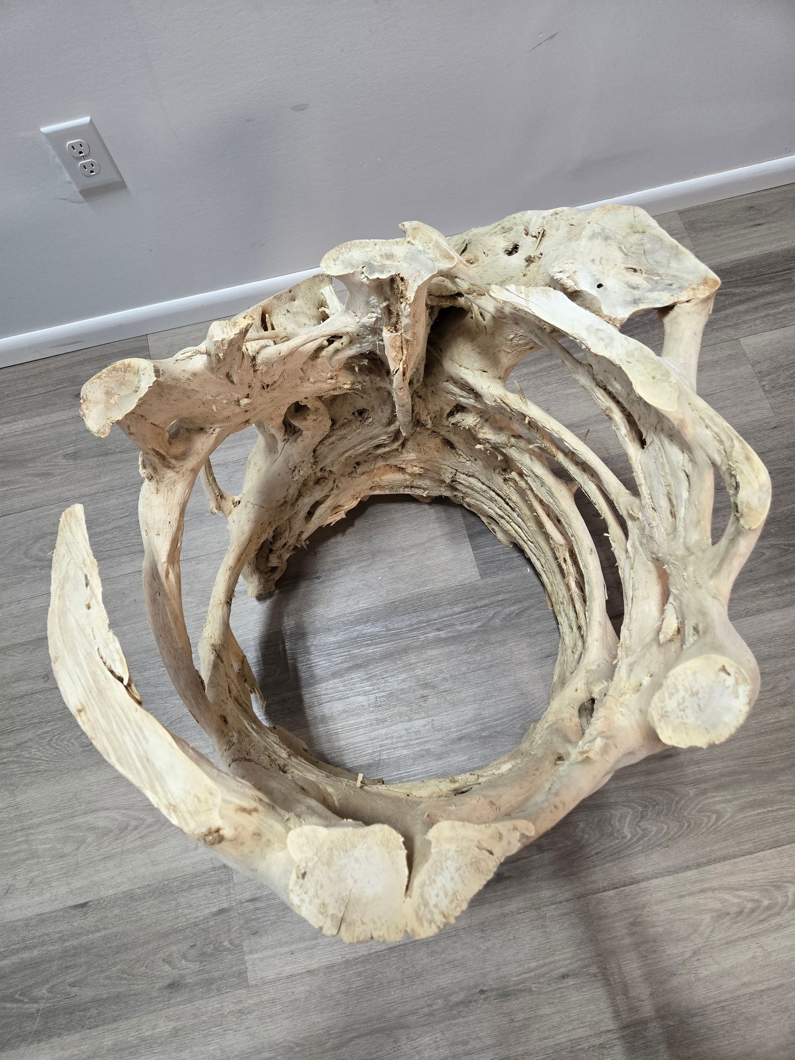 Banyan Tree Dining Table with Glass - 3