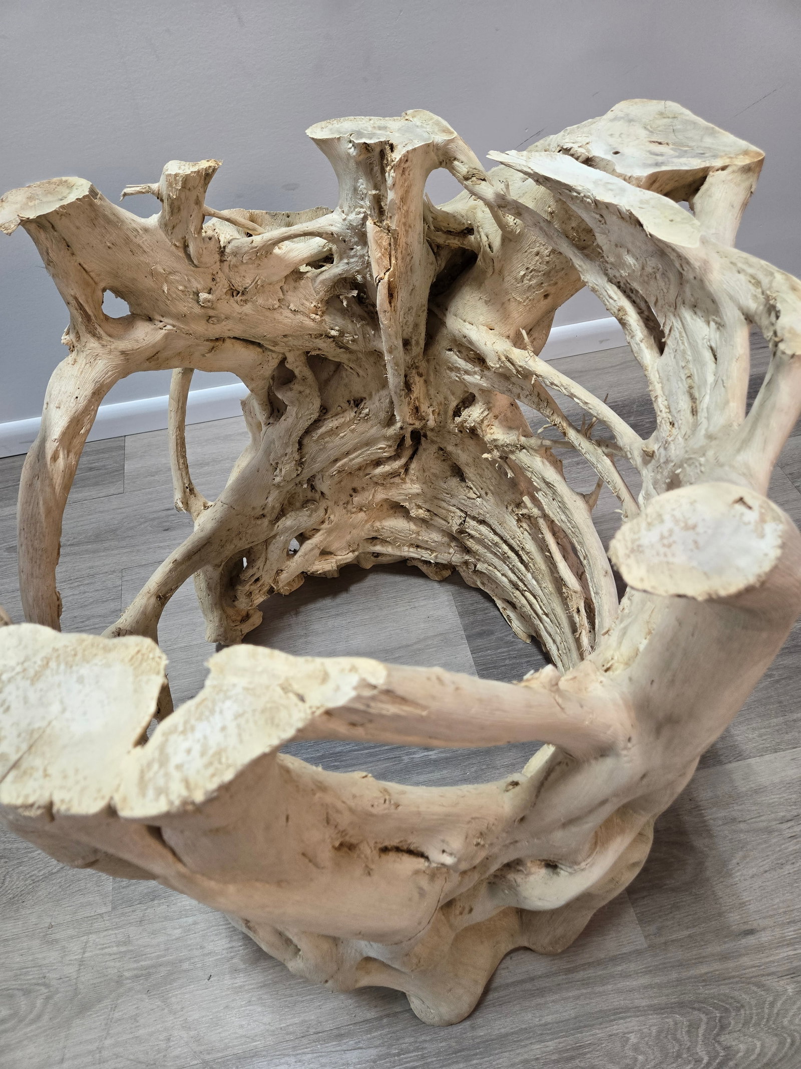 Banyan Tree Dining Table with Glass - 4