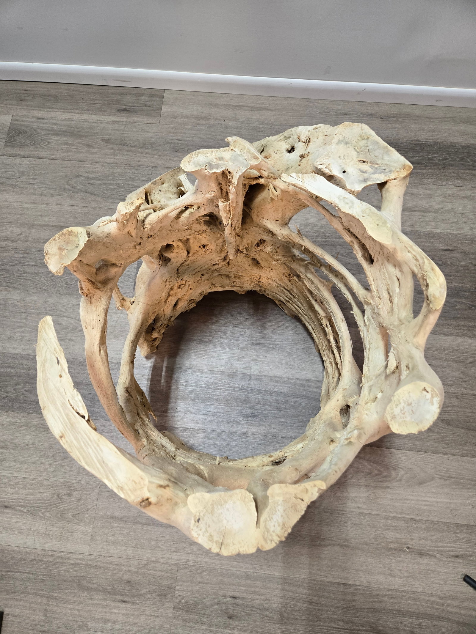 Banyan Tree Dining Table with Glass - 5