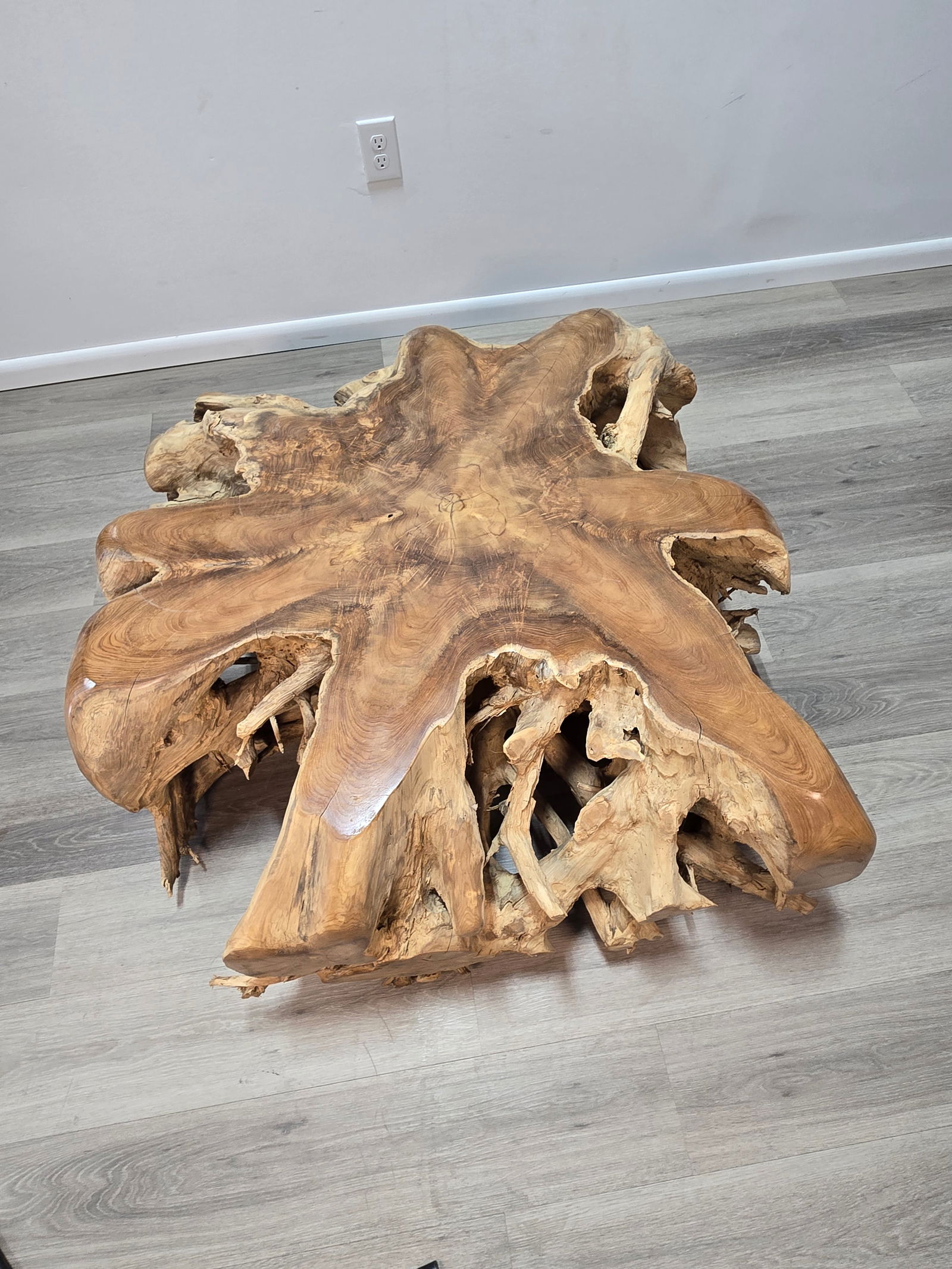Teak Root Coffee Table - 2