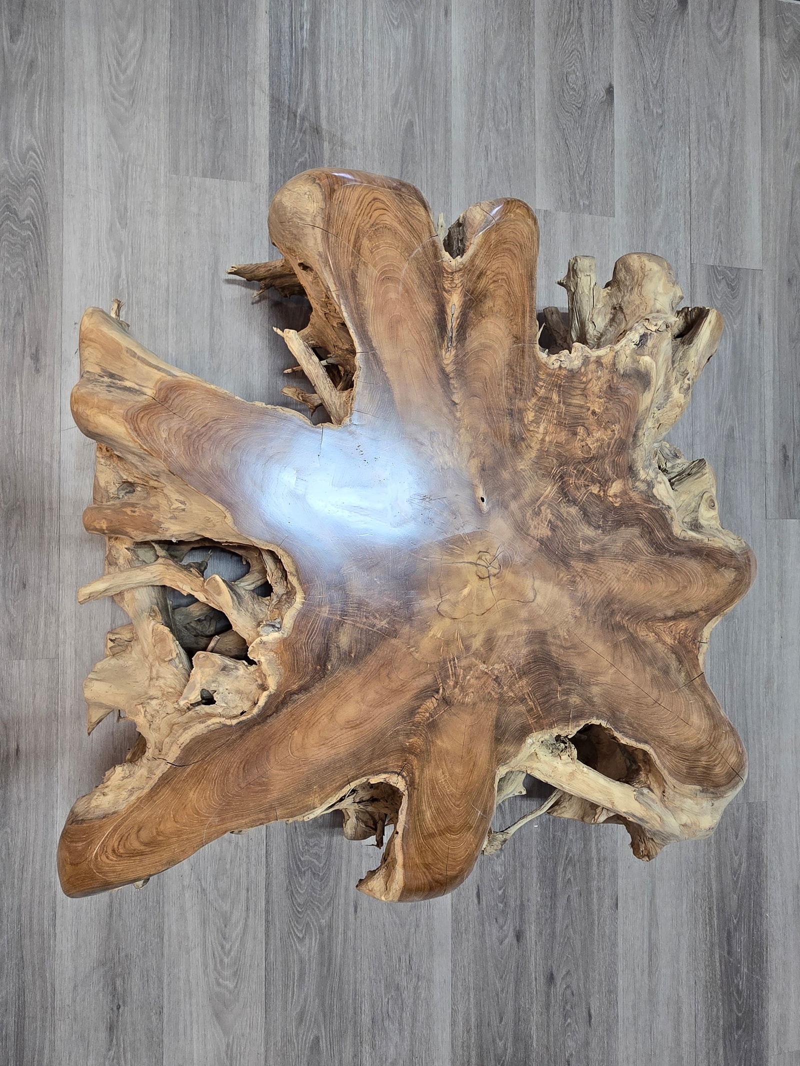 Teak Root Coffee Table - 4