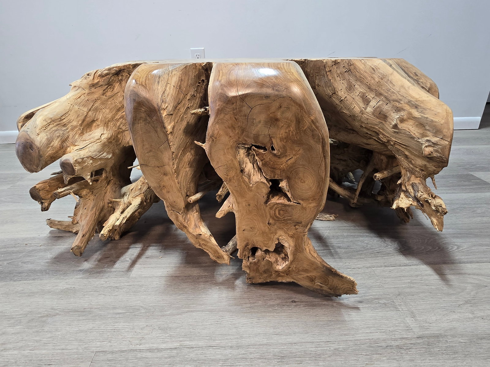 Teak Root Coffee Table - 6