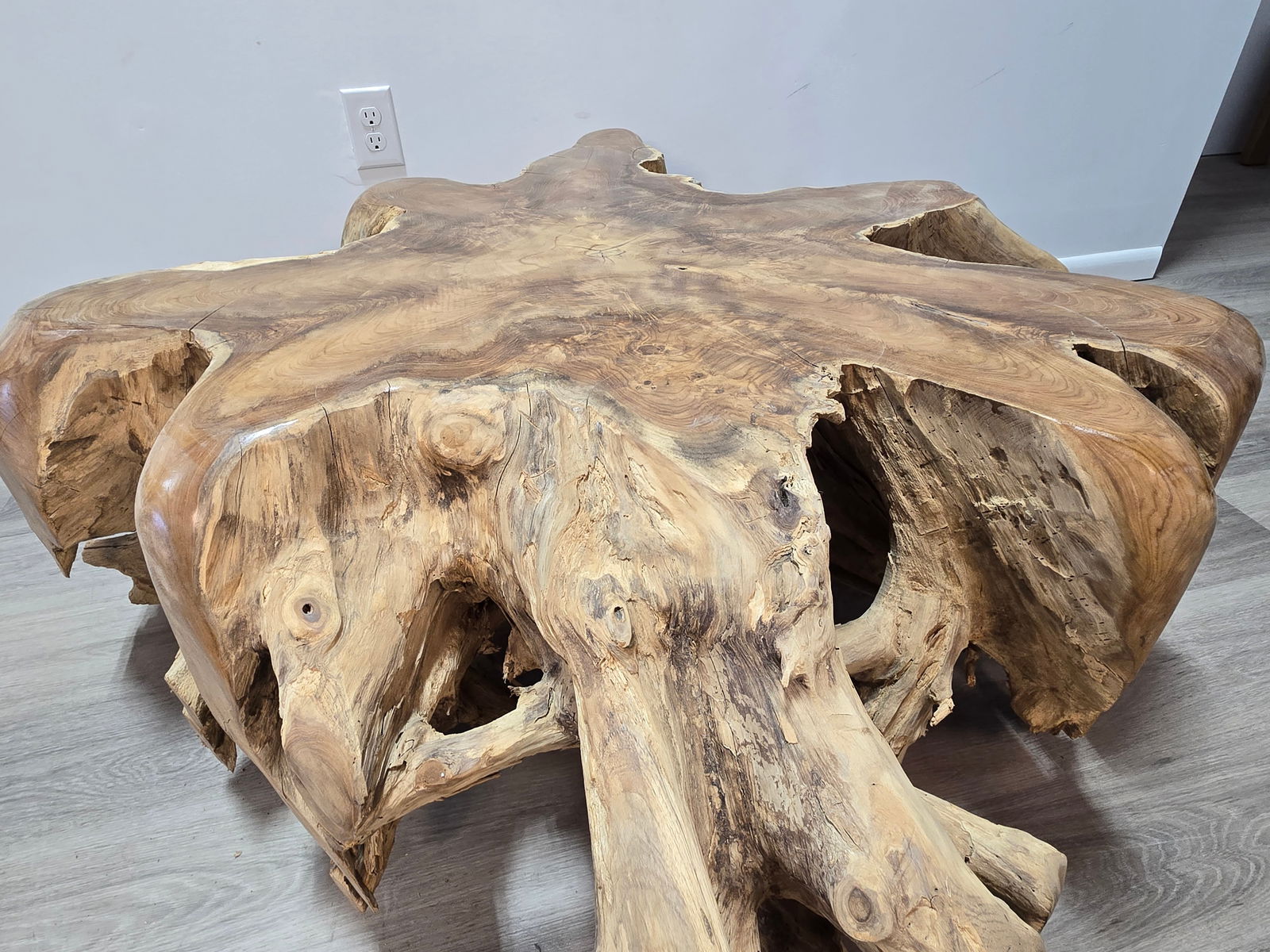 Teak Root Coffee Table - 7