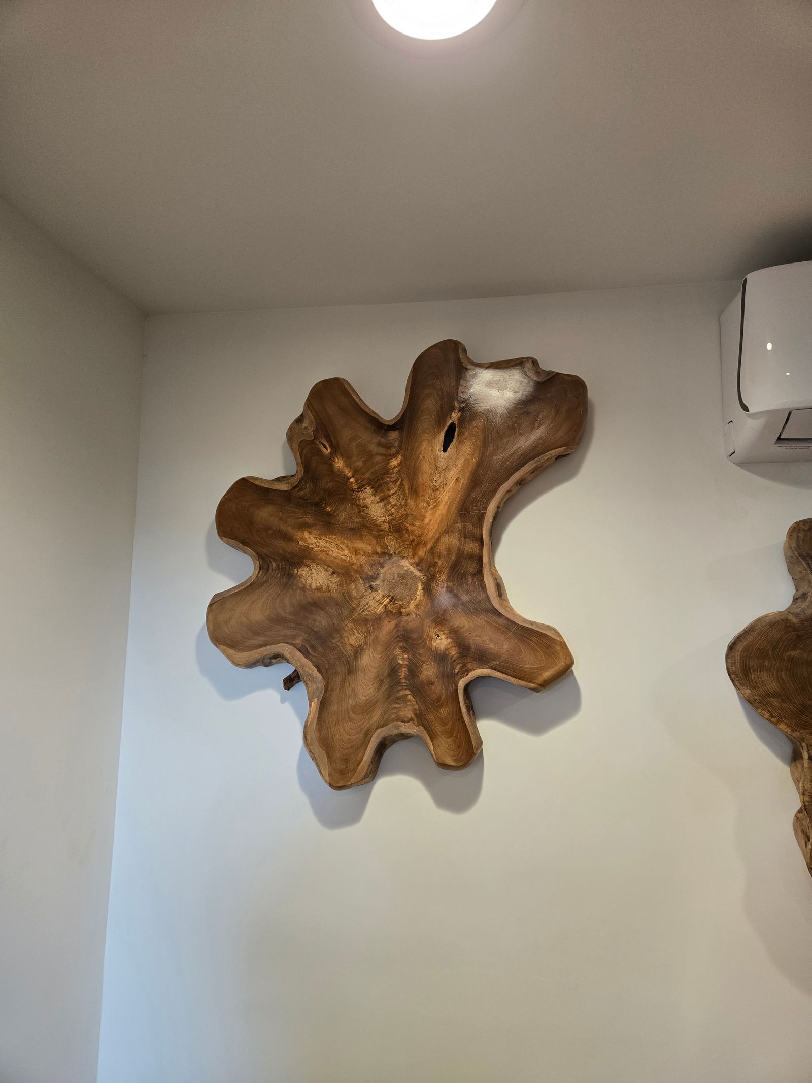Teak Wall Art - 2