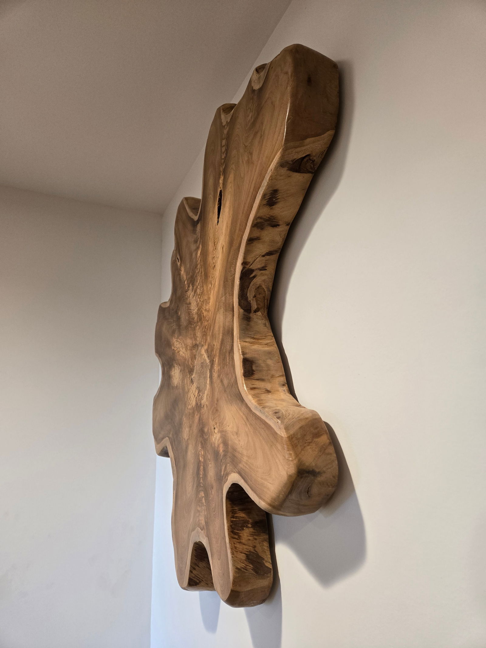 Teak Wall Art - 5