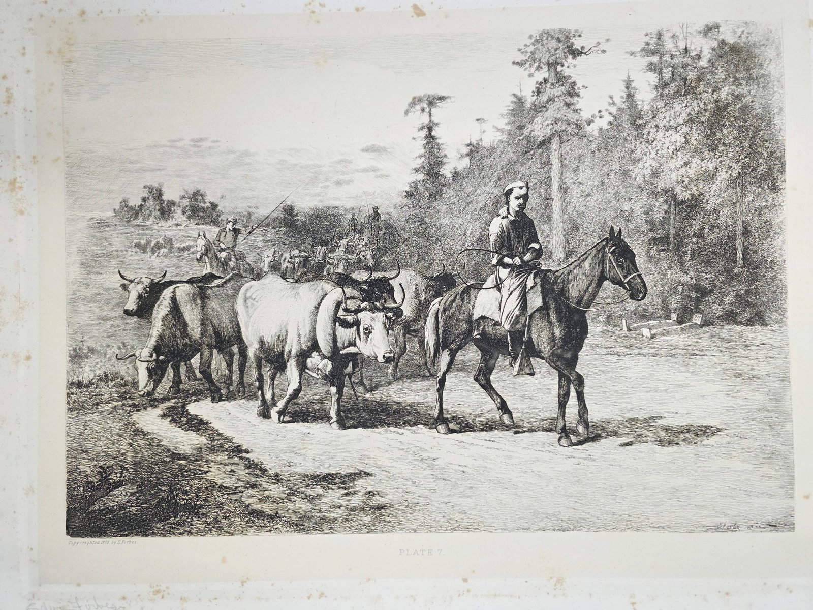 Original copper plate etching by artist Edwin Forbes SIGNED IN PENCIL BY ARTIST no.7: Foxing on the matte part (Passe-partout), minor on the plate part. Original copper plate etching by artist Edwin Forbes SIGNED IN PENCIL BY ARTIST From "Life Studies of the Great Army," a portfolio of