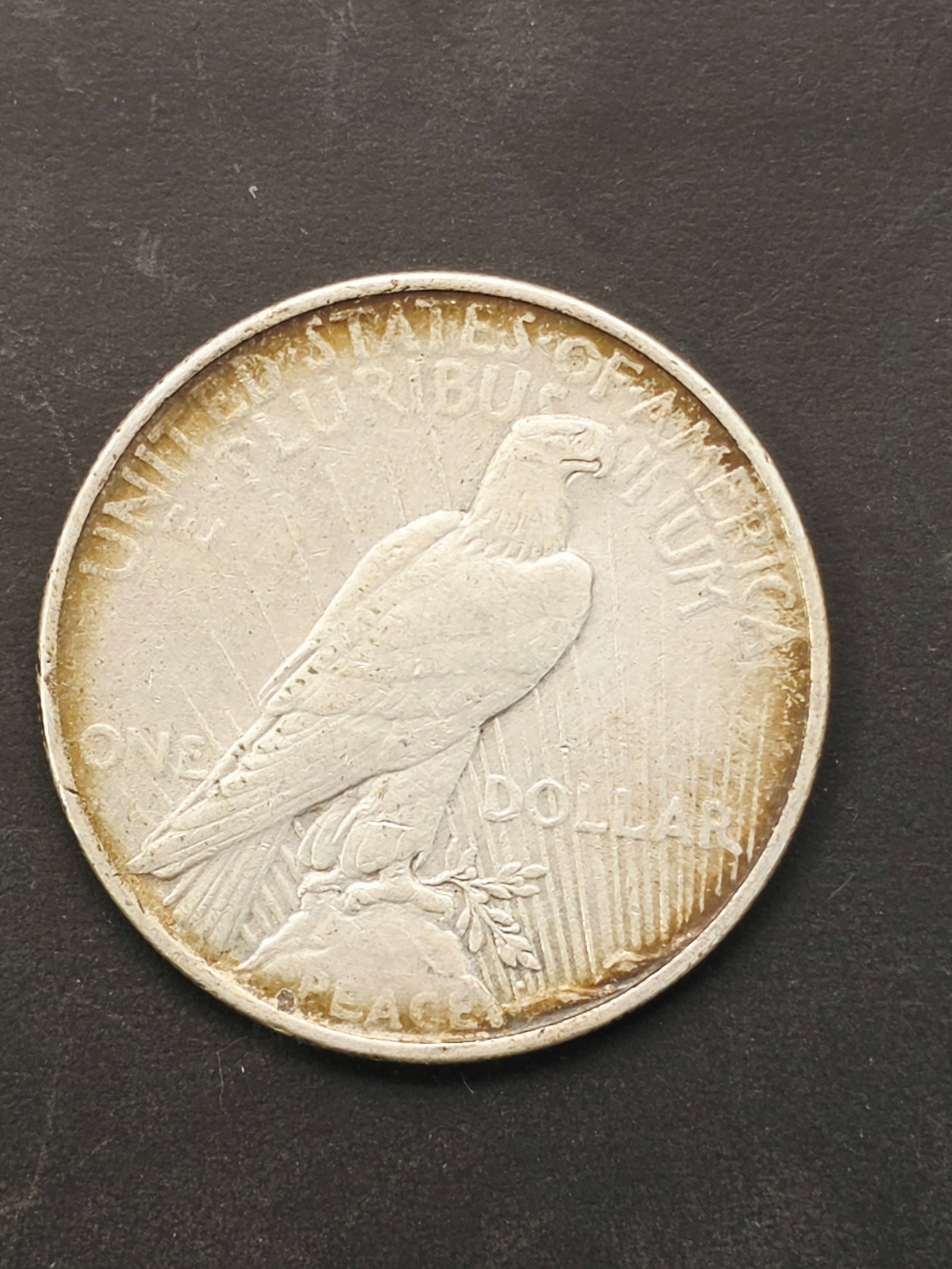 1924 Peace Silver Dollar - 5