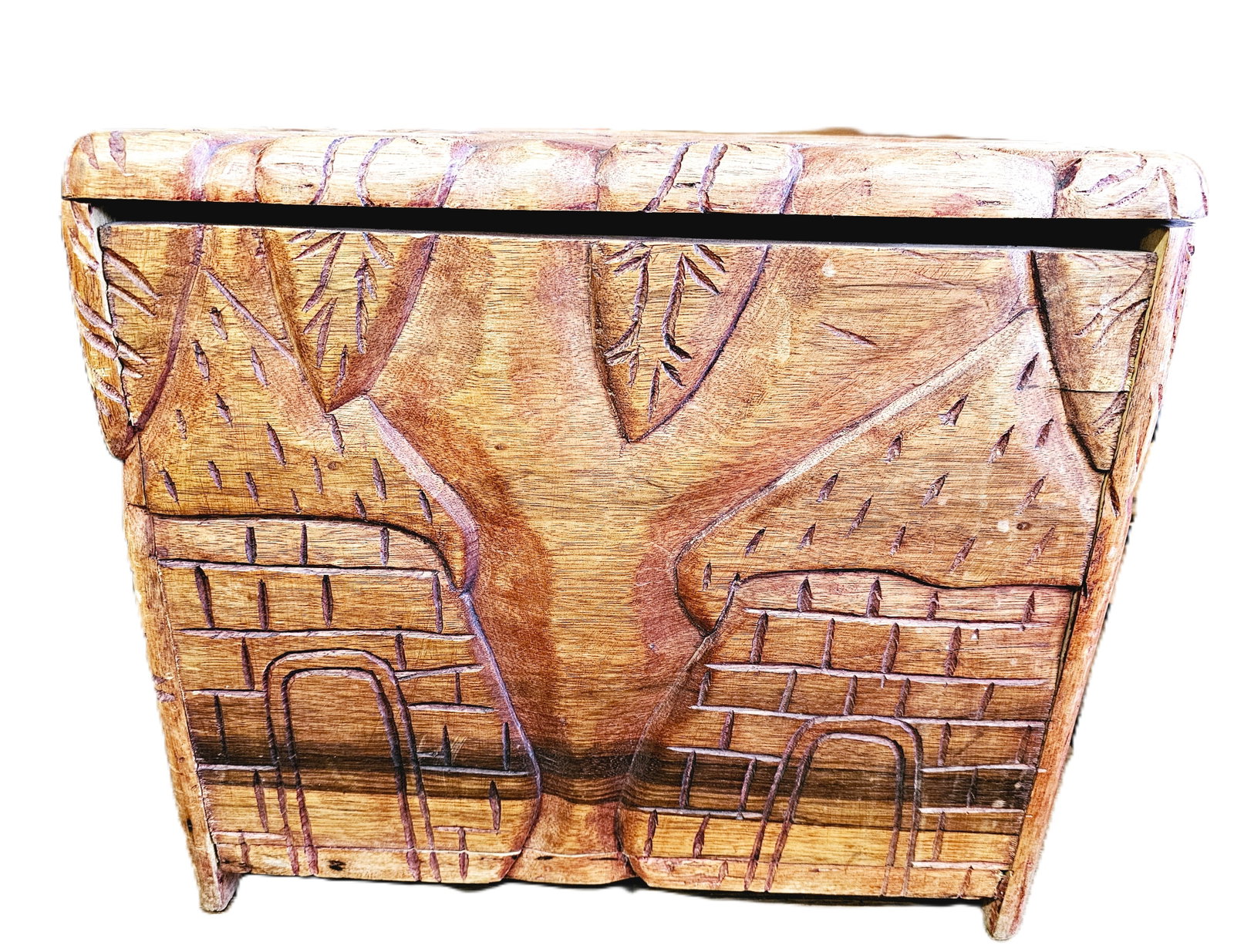 unique Chinese Camphor Wood Carved Box featuring scenic carvings (1 of 11)