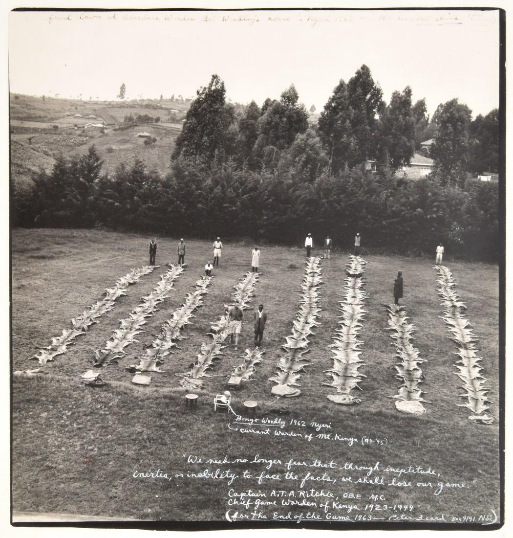 Peter Beard Gelatin Silver Print: Designer & Manufacturer: Peter Hill Beard (b. 1938) Markings: marking(s); 1962 (printed later) Country of Origin & Materials: American; gelatin silver print Additional Information: Work is titled THE