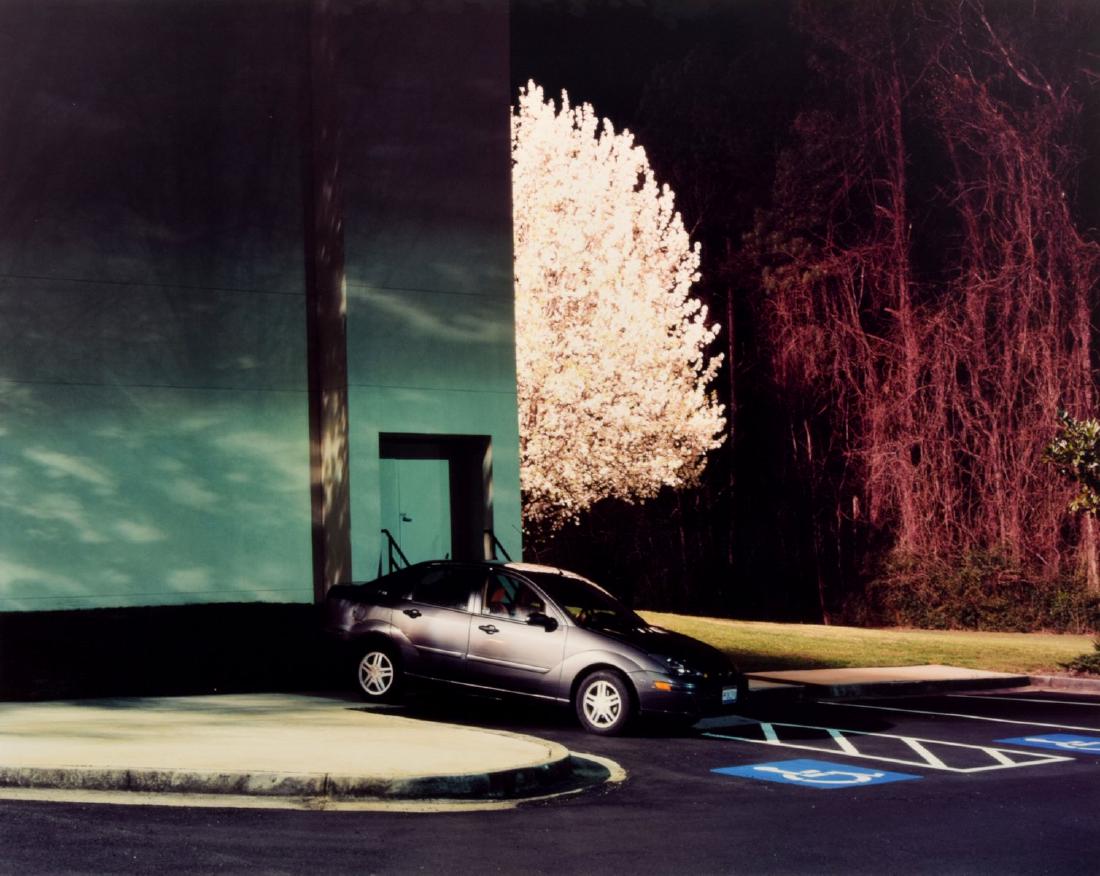 Large Tim Davis C-Print: Designer/Artist & Manufacturer: Tim Davis (b. 1969) Markings: ed. 5/6; 2004 Country of Origin & Materials: American; chromogenic color print Additional Information: Work is titled BRADFORD PEAR (ILLIL