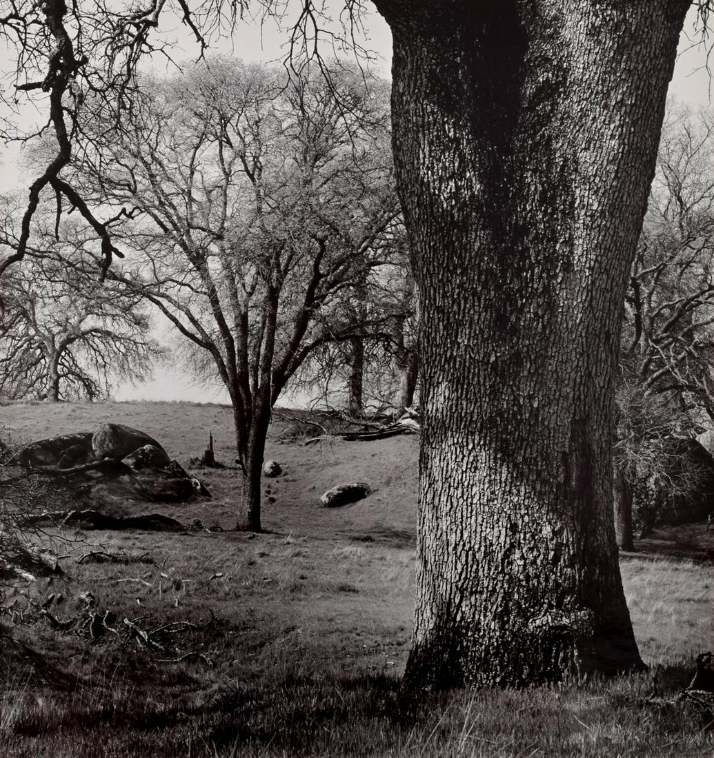 Ansel Adams "Whitney Ranch" Gelatin Silver Print: Designer & Manufacturer: Ansel Adams (1902-1984) Markings/Notes: Carmel credit stamp (negative no. G-C-103-5) to reverse of mount Country of Origin & Materials: American; gelatin silver print Dimensio