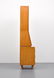 Piero Fornasetti & Gio Ponti Cabinet - 8