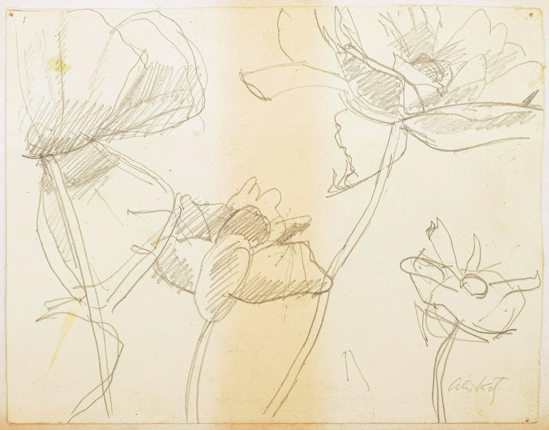 Alex Katz Floral Drawing: Artist/Designer; Manufacturer: Alex Katz (b. 1927) Marking(s); notes: signed Country of origin; materials: American; graphite on paper Dimensions (H, W, D): 6"h, 8"w; 7.75"h