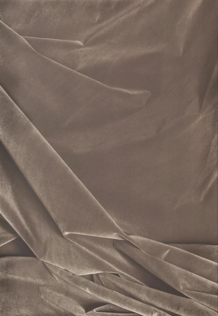 James Welling Iris Print, Signed Edition: Artist/Designer; Manufacturer: James Welling (b. 1951) Marking(s); notes: signed, ed. 2/8; 1998 (per consignor's records, not visible out of frame) Country of origin; materials: American; black and wh