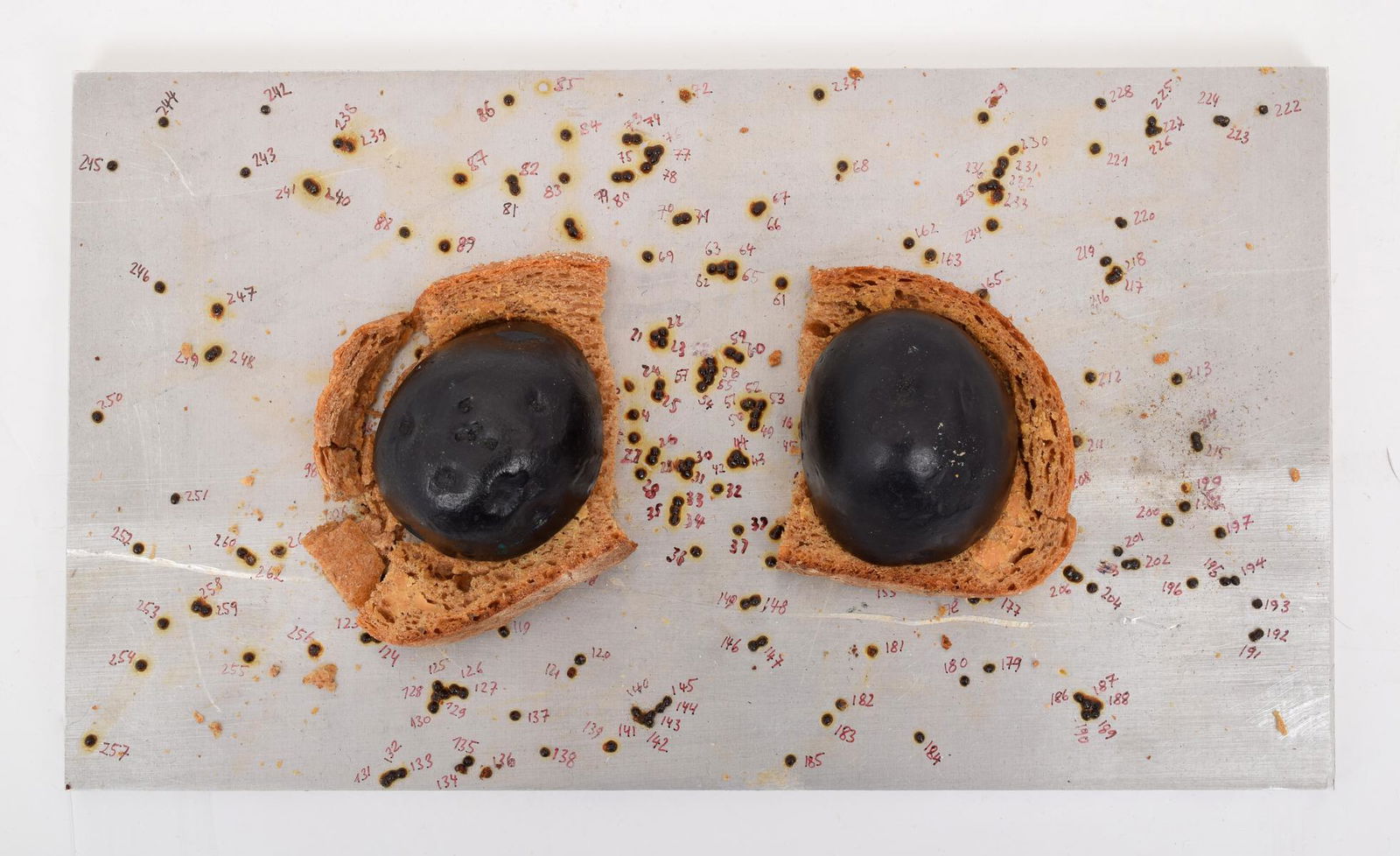 Georg Herold Mixed Media Sculpture: Artist/Designer; Manufacturer: Georg Herold (b. 1947) Marking(s); notes: signed; ed. II/IV; 1989 Country of origin; materials: American; steel, wax, caviar, marker, resin, toast, wood (box) Dimensions