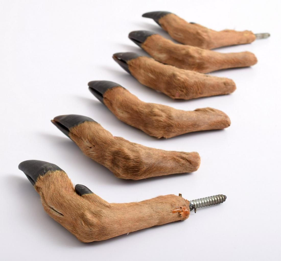 6 Deer Hoof Coat Hangers, Adirondack Style: Artist/Designer; Manufacturer: unknown Marking(s); notes: no marking(s) apparent Country of origin; materials: USA; deer hooves, metal Dimensions (H, W, D): 7"h, 6"w, 1.5"d (vary slightly) Additional