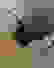 item-10226868=6