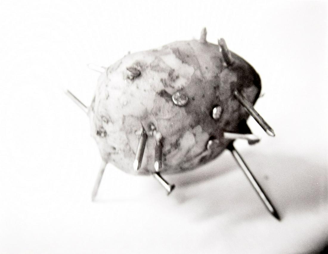 Andrei Roiter "Potato" Photograph, Signed Edition: Artist/Designer; Manufacturer: Andrei Roiter (b. 1960) Marking(s); notes: signed; ed. 3/5; 1995 Country of origin; materials: Russian; black and white photograph Dimensions (H, W, D): 11"h, 14"w (work