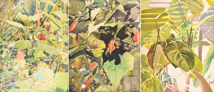 3 Roger Howrigan Botanical Watercolor Paintings: Artist/Designer; Manufacturer: Roger Howrigan (1943-1994) Marking(s); notes: two signed RH 78, one without visible marking(s); 1990 per consignor's records Country of origin; materials: American; wate