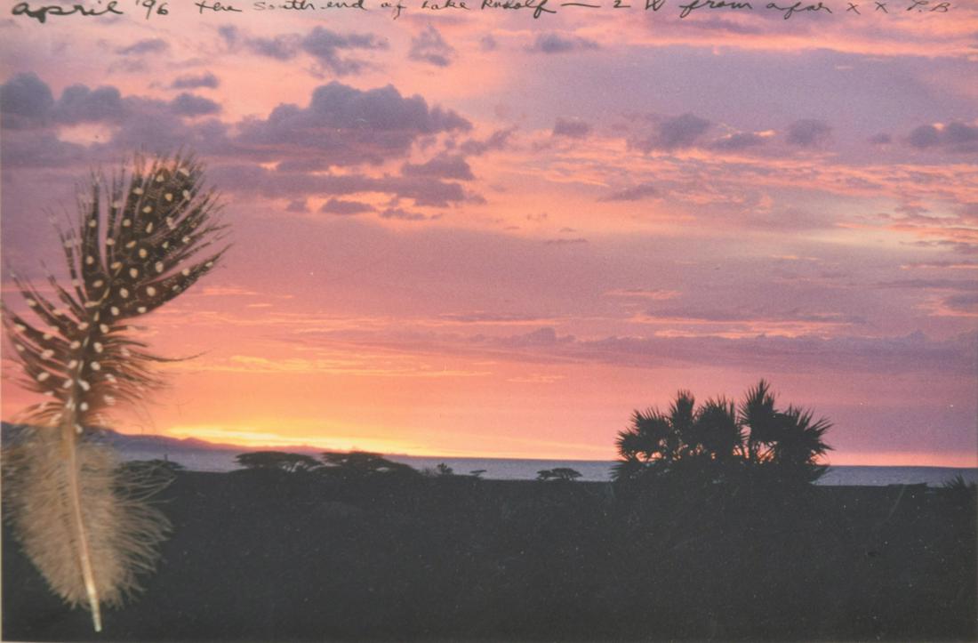Peter Beard SUNSET Pigment Print Mixed Media: Artist/Designer; Manufacturer: Peter Beard (1938-2020) Marking(s); notes: signed (verso and recto); 1996 Country of origin; materials: American; archival pigment print with feather Dimensions (H, W, D