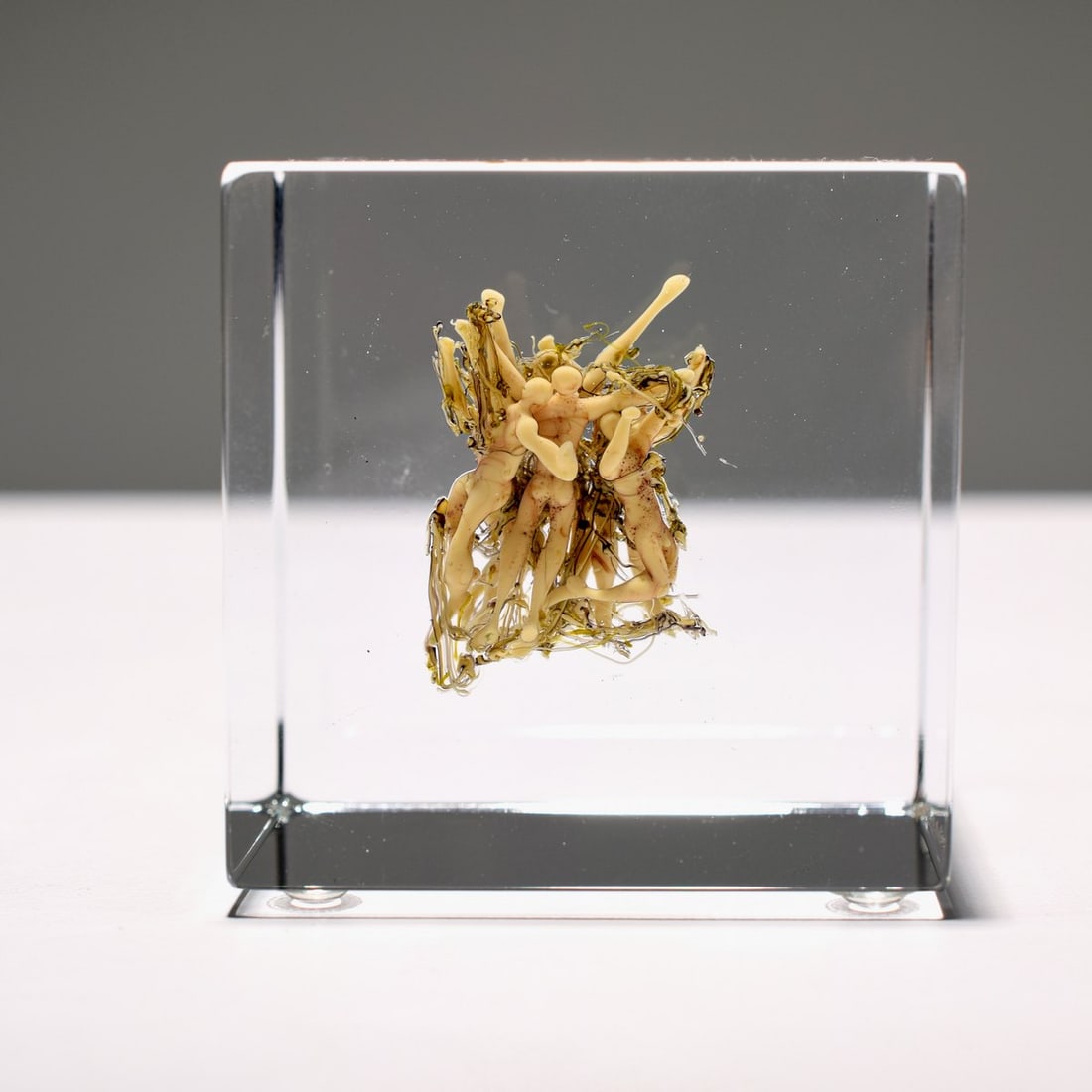 Paul J. Stankard Experimental Root People Paperweight: Artist/Designer; Manufacturer: Paul J. Stankard (American, b. 1943) Marking(s); notes: signed; marking(s); 1998 Materials: lampwork glass, polished clear glass Dimensions (H, W, D): 2.5"h, 2.375"w, 2.
