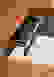 item-13037471=2