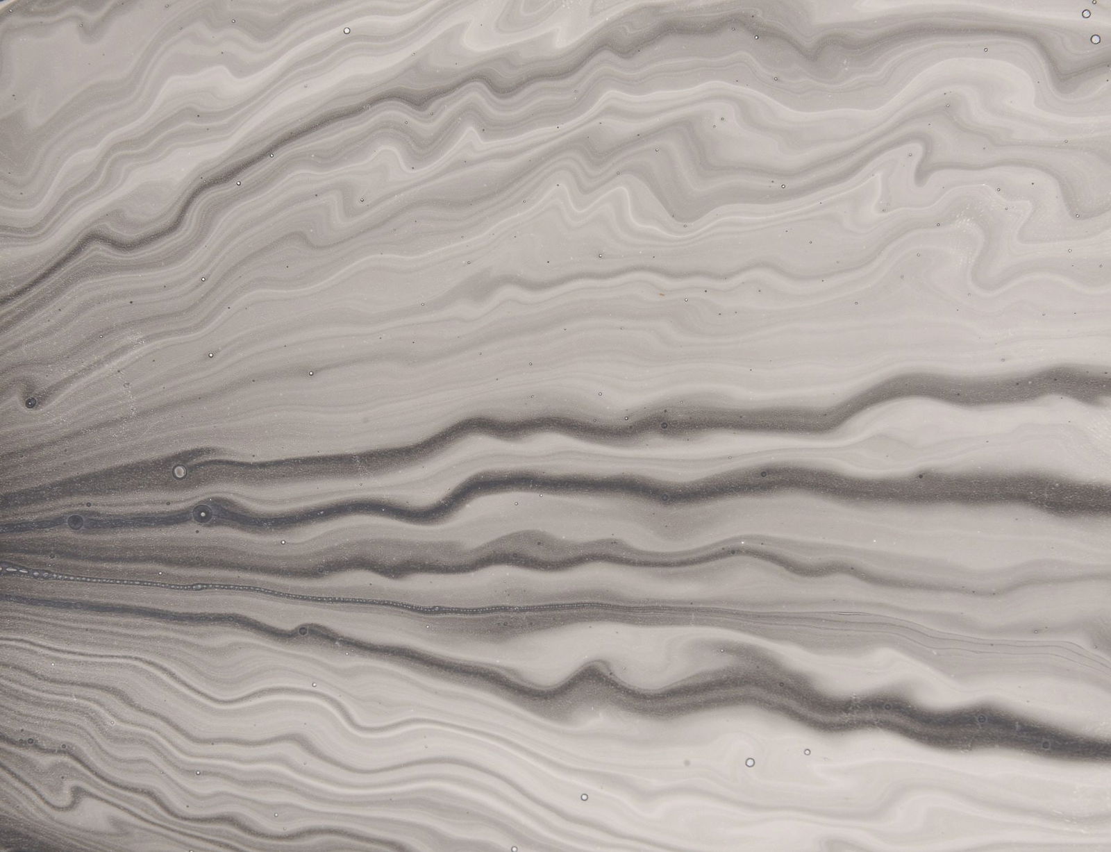 Roland Flexner Ink Drawing (1 of 6)