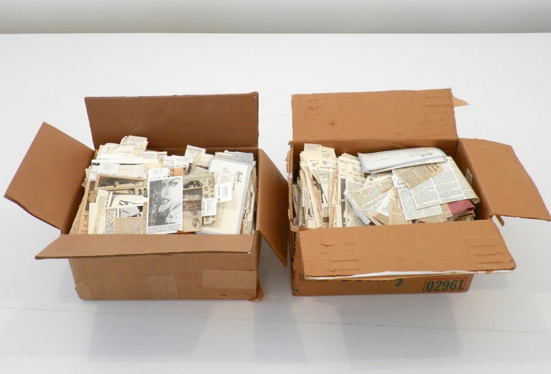 2 Boxes of Relevant News Clippings: Additional Information & Circa: Two boxes of relevent Studio 54-Steve Rubell news clippings, most from Burrells Clipping Service. Provenance: Estate of Steve Rubell Dimensions: