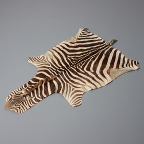 Zebra Hide Rug / Wall Hanging