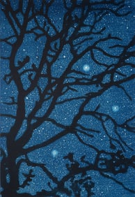 Richard Bosman NIGHT LACE Etching