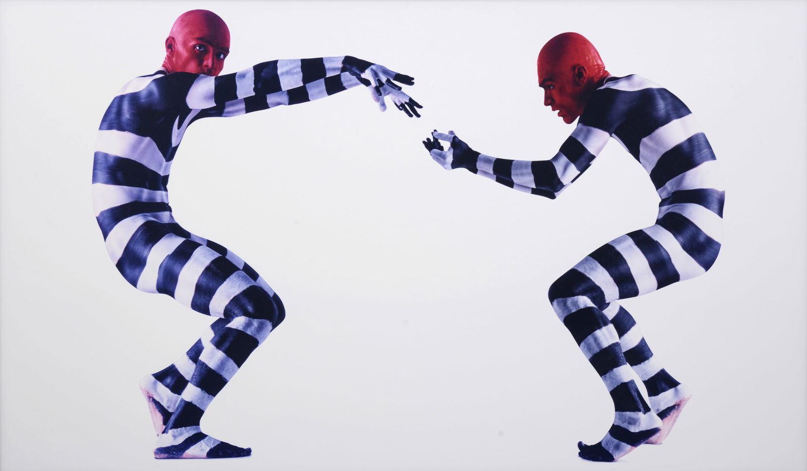 Roberto Edwards HL-DONOSO 4-5 Photograph, 66"W (1 of 9)