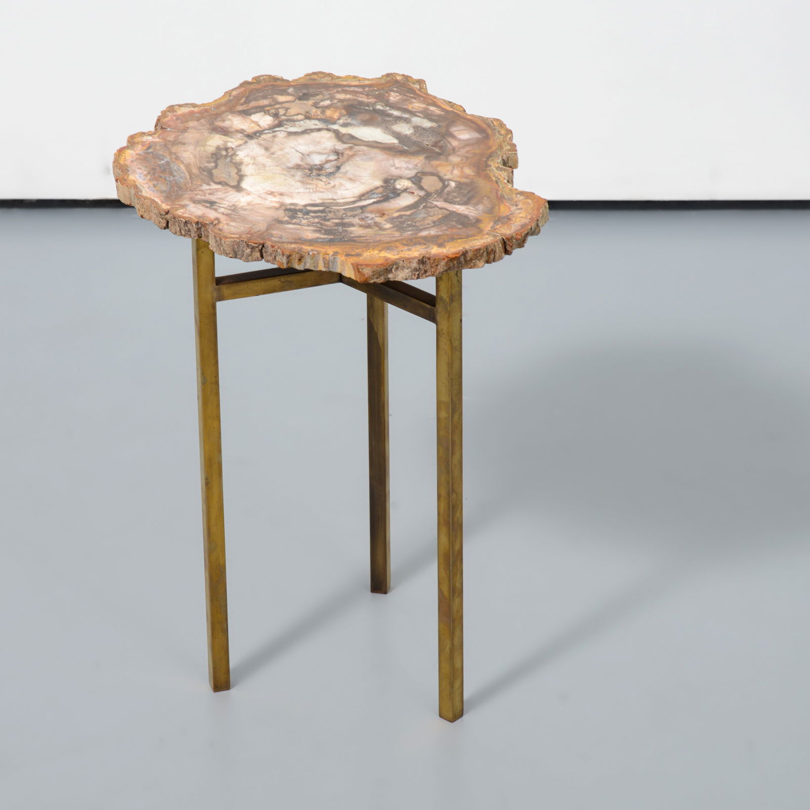 Petrified Wood Occasional Table (1 of 7)