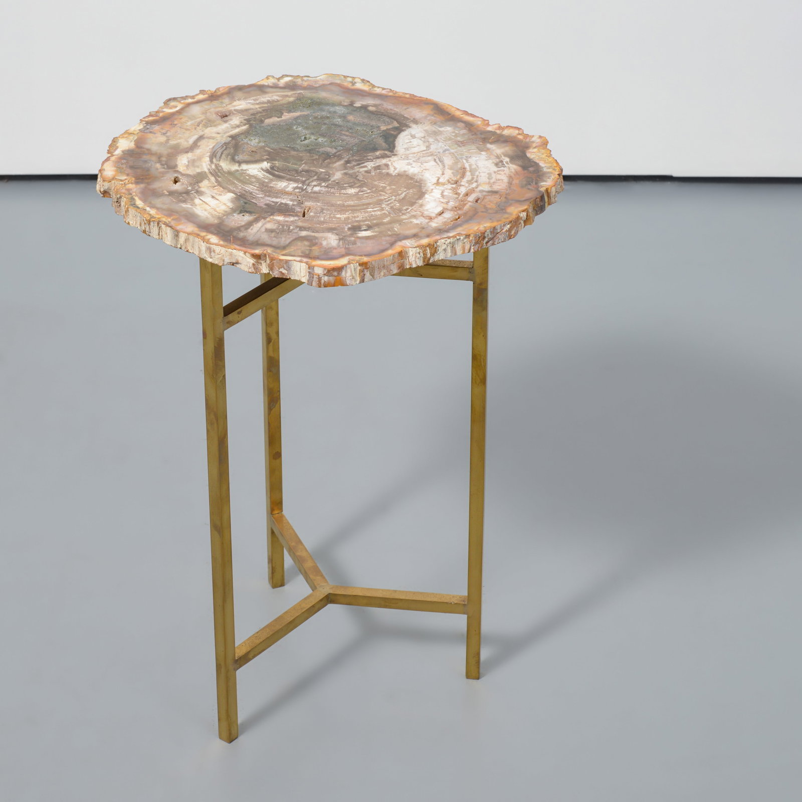 Petrified Wood & Brass Occasional Table (1 of 7)