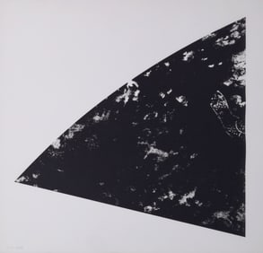 Ellsworth Kelly ORIENT BEACH STATE IV Lithograph
