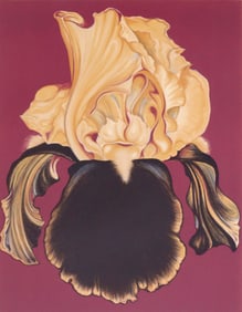 Lowell Nesbitt YELLOW IRIS Lithograph, 32"H
