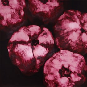 Donald Sultan POMEGRANATES Screenprint