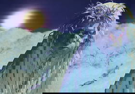 Cindy Sherman UNTITLED (Pig Woman) C-Print: Artist/Designer; Manufacturer: Cindy Sherman (American, b. 1954)Marking(s); notes: signed; ed. 73/75; 1973-1975Materials: chromogenic color print on Kodak paper