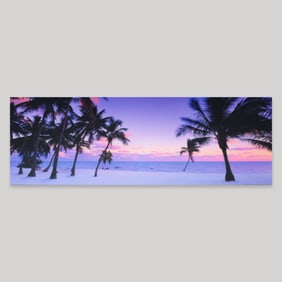 Large Peter Lik COASTAL BREEZE Photograph, 79.025"W