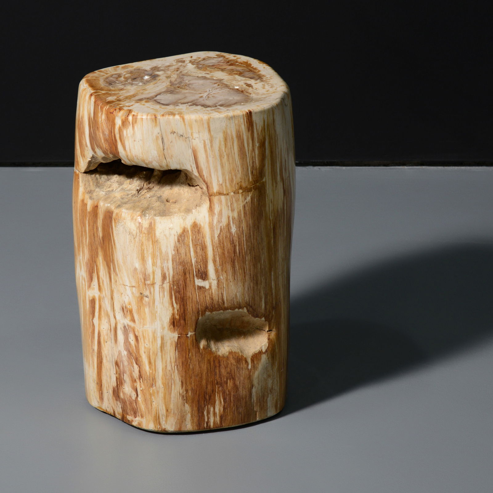 Petrified Wood Occasional Table (1 of 7)