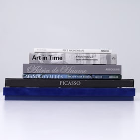 6 Art Related Books: Picasso, Valdez ...