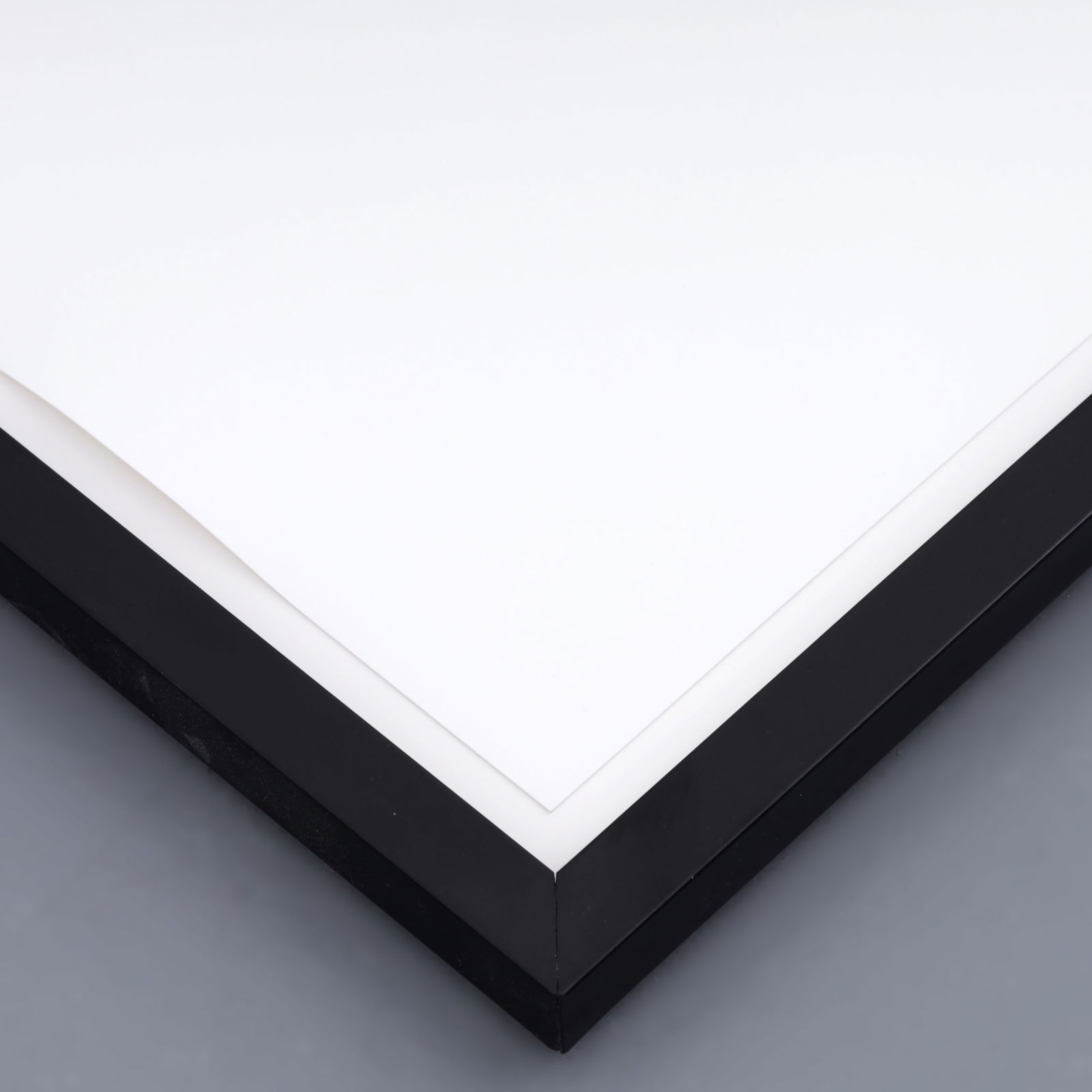 Vija Celmins UNTITLED (Source Material) Iris Print - 6