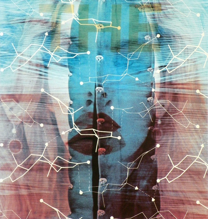 Pair of James Rosenquist Lithographs: Designer & Manufacturer: James Rosenquist Markings: signed; e. 140/150; dated 1981 Country of Origin & Materials: American; lithograph Additional Information & Circa: "The" and "Silverbirds" lithograp