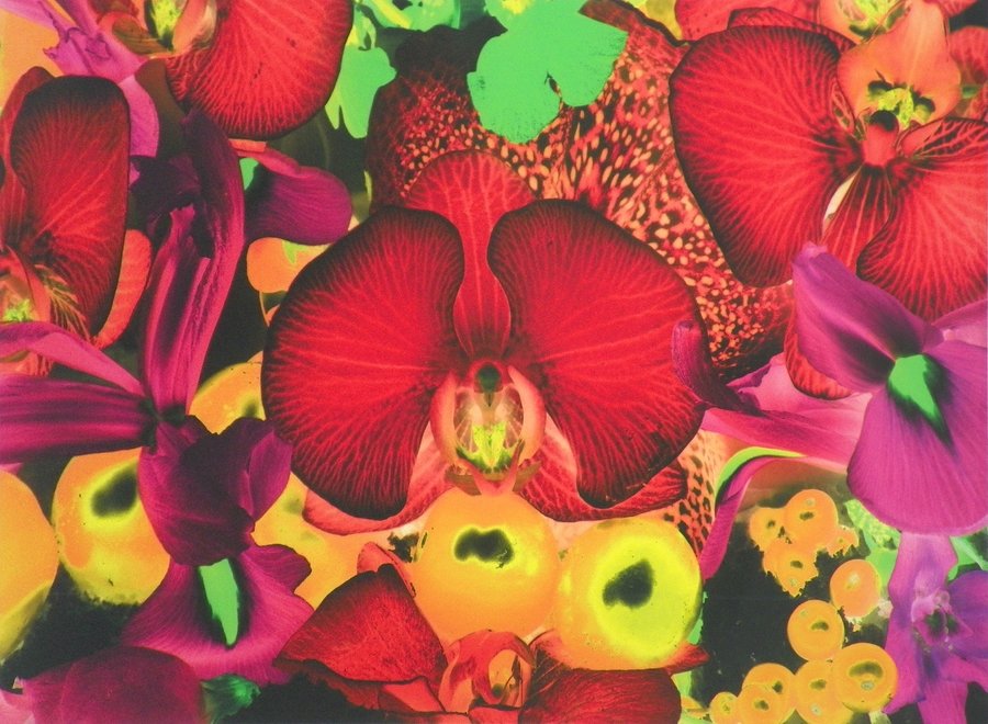 Marc Quinn "Plate 4" Print: Designer & Manufacturer: Marc Quinn Markings: signed Country of Origin & Materials: English; print Additional Information & Circa: "Plate 4" print from the series "At the Far Edges of the Universe" by