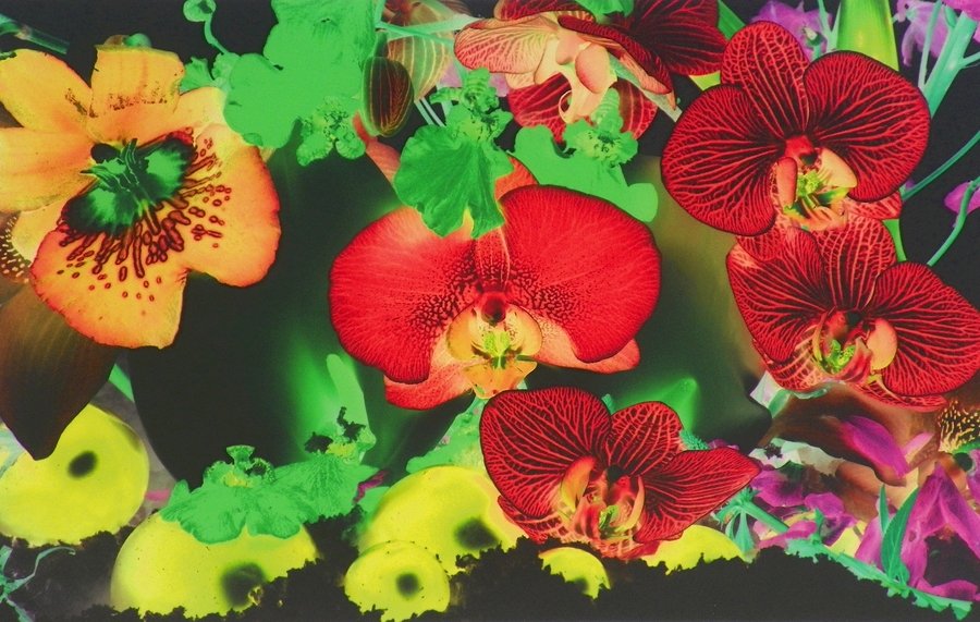 Marc Quinn "Plate 3" Print: Designer & Manufacturer: Marc Quinn Markings: signed Country of Origin & Materials: English; pigment print on 300 gsm Somerset paper Additional Information & Circa: "Plate 3" print from the series "At