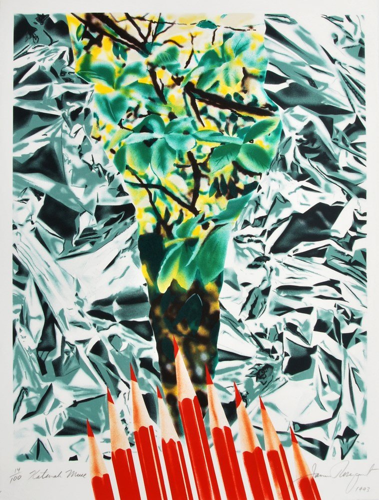 James Rosenquist Lithograph: Designer & Manufacturer: James Rosenquist Markings: signed; e. 14/100; dated 1993 Country of Origin & Materials: American; paper Additional Information & Circa: Lithograph by James Rosenquist (b. 1933