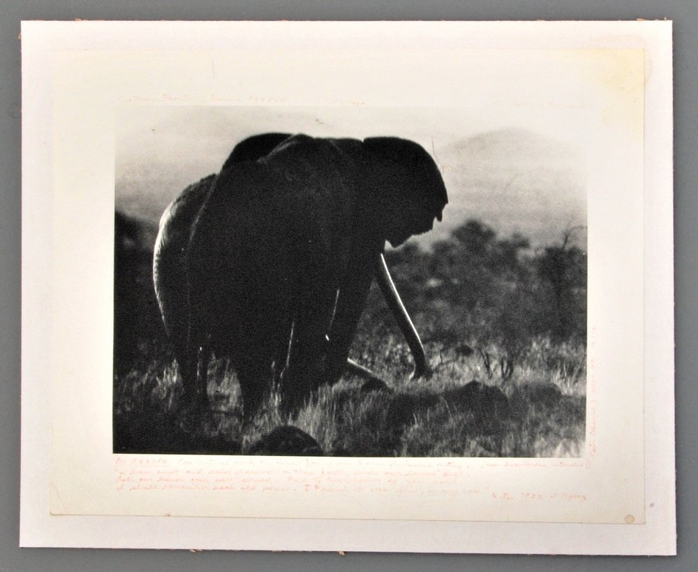 Early Peter Beard Gelatin Silver Print: Designer (Artist) & Manufacturer: Peter Hill Beard (b. 1938) Markings: marked Country of Origin & Materials: American; Gelatin Silver Print Additional Information: Photo of elephant silhouette with ha