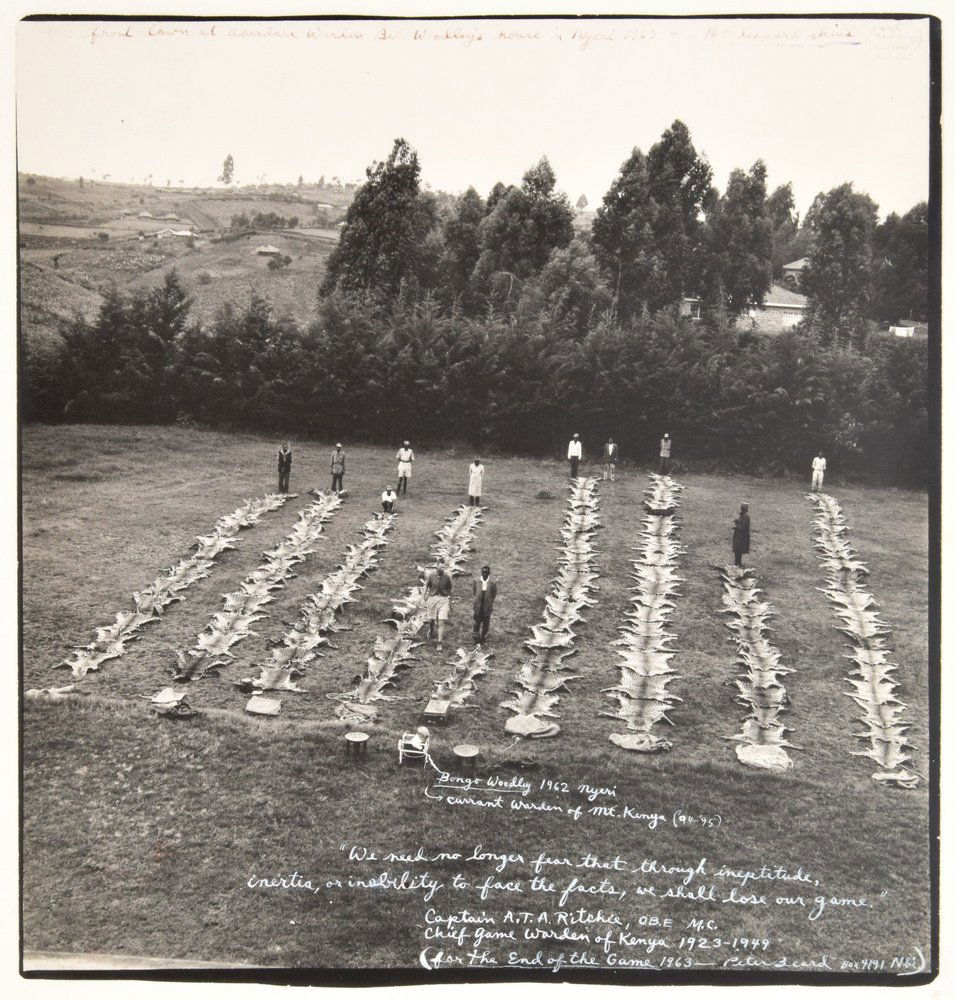 Peter Beard Gelatin Silver Print, Unique: Designer & Manufacturer: Peter Hill Beard (b. 1938) Markings: marking(s); 1962 (printed later) Country of Origin & Materials: American; gelatin silver print Additional Information & Circa: Work is tit