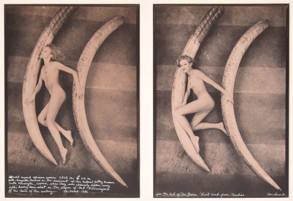 2 Peter Beard Gelatin Silver Prints, Diptych: Designer & Manufacturer: Peter Hill Beard (b. 1938) Markings: signed; 1976 (printed later) Country of Origin & Materials: American; toned gelatin silver print Additional Information & Circa: Work is t