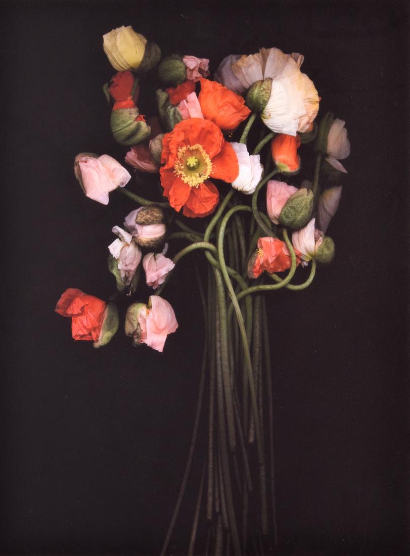 Joyce Tenneson Photograph, Signed Artist Proof: Artist: Joyce Tenneson (b. 1945) Markings: signed; 2005 Country of Origin & Materials: American; paper Additional Information: Provenance: Consignor states work was acquired directly from the artist. 