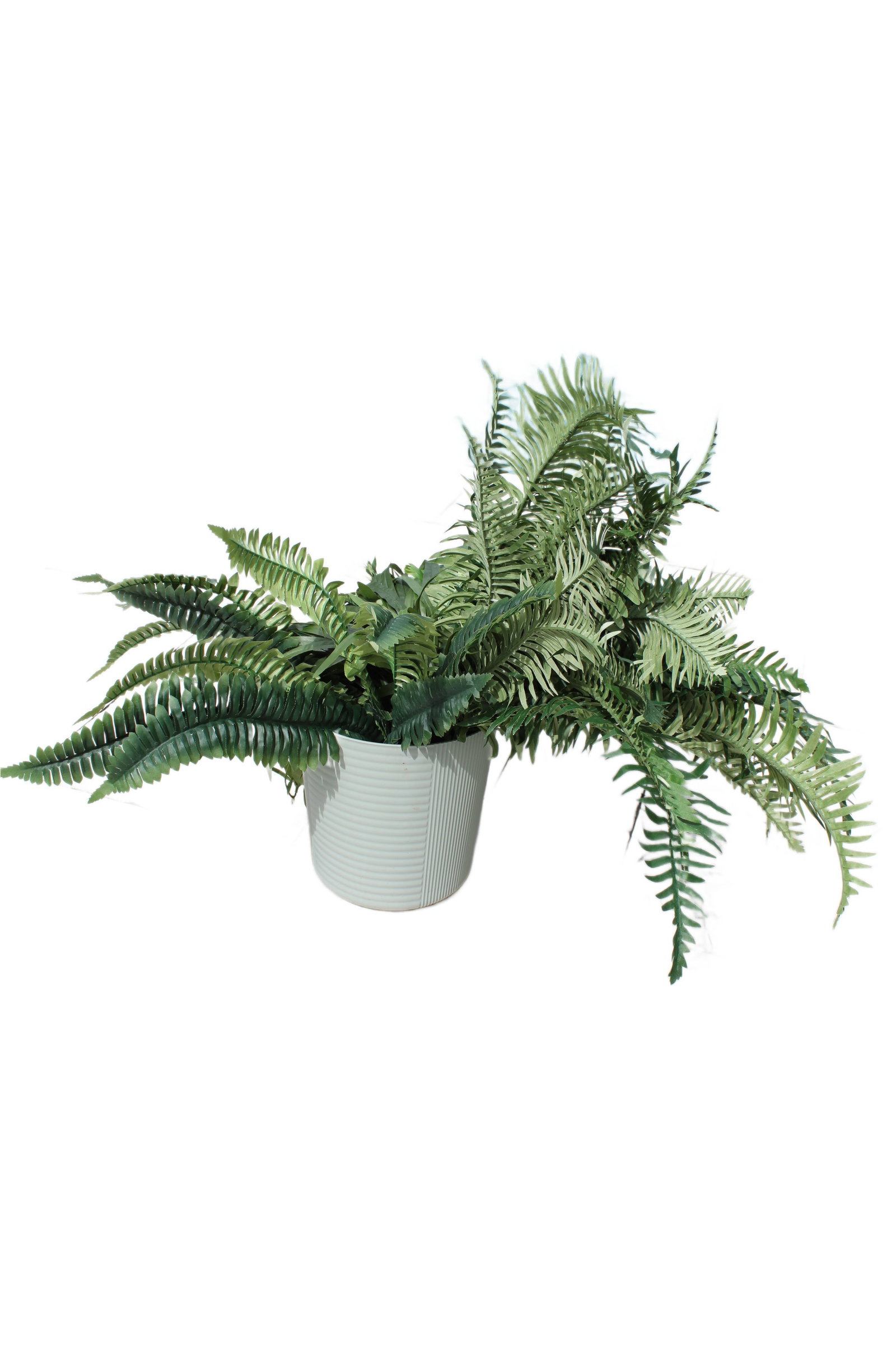 Medium Sized Plastic Planter with Artificial Greenery: Medium Sized Plastic Pale Green Planter with Various Artificial Greenery. Includes Threee Separate Stems of Greenery. Planter: 10" H x 8.5" W x 8.5" D. Total Height with the Plants: 25".